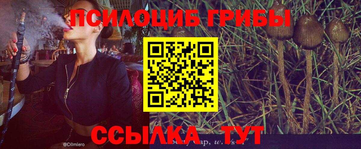 Псилоцибиновые грибы GOLDEN TEACHER  Псилоцибиновые грибы Magic Shrooms  Вход с VPN  Брянск 