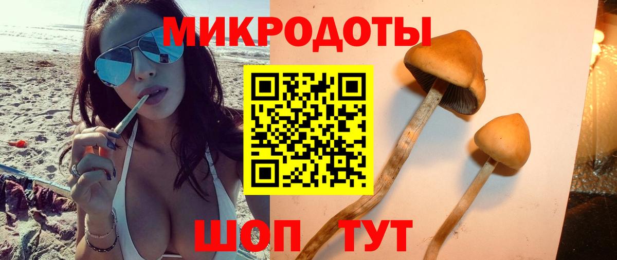 Псилоцибиновые грибы мицелий Брянск